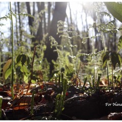 Night Time_ Alexandre Desplat