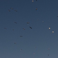 COVER Alma En Pena (instrumental) Mon Laferte