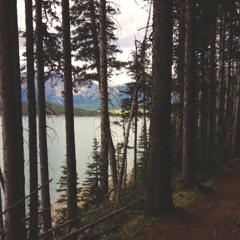 Northern Breeze - Original