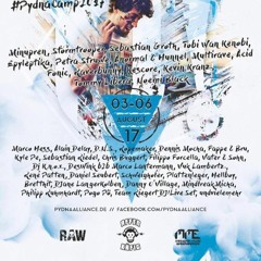 Plattenleger Live @ Shake On Lake Festival (Austria - 23 - 25 Juni)
