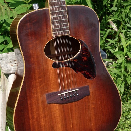 daion 12 string guitar