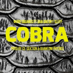 Cobra Ft Dan Doesn't Sleep