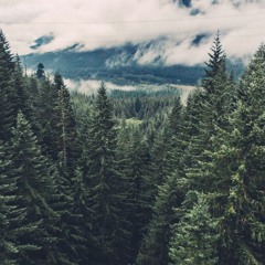 3am s u i c i d e (prod. killedmyself)