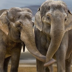 Life Can Be Easy - Mikey