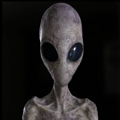 Techno 4 Karma Rismus