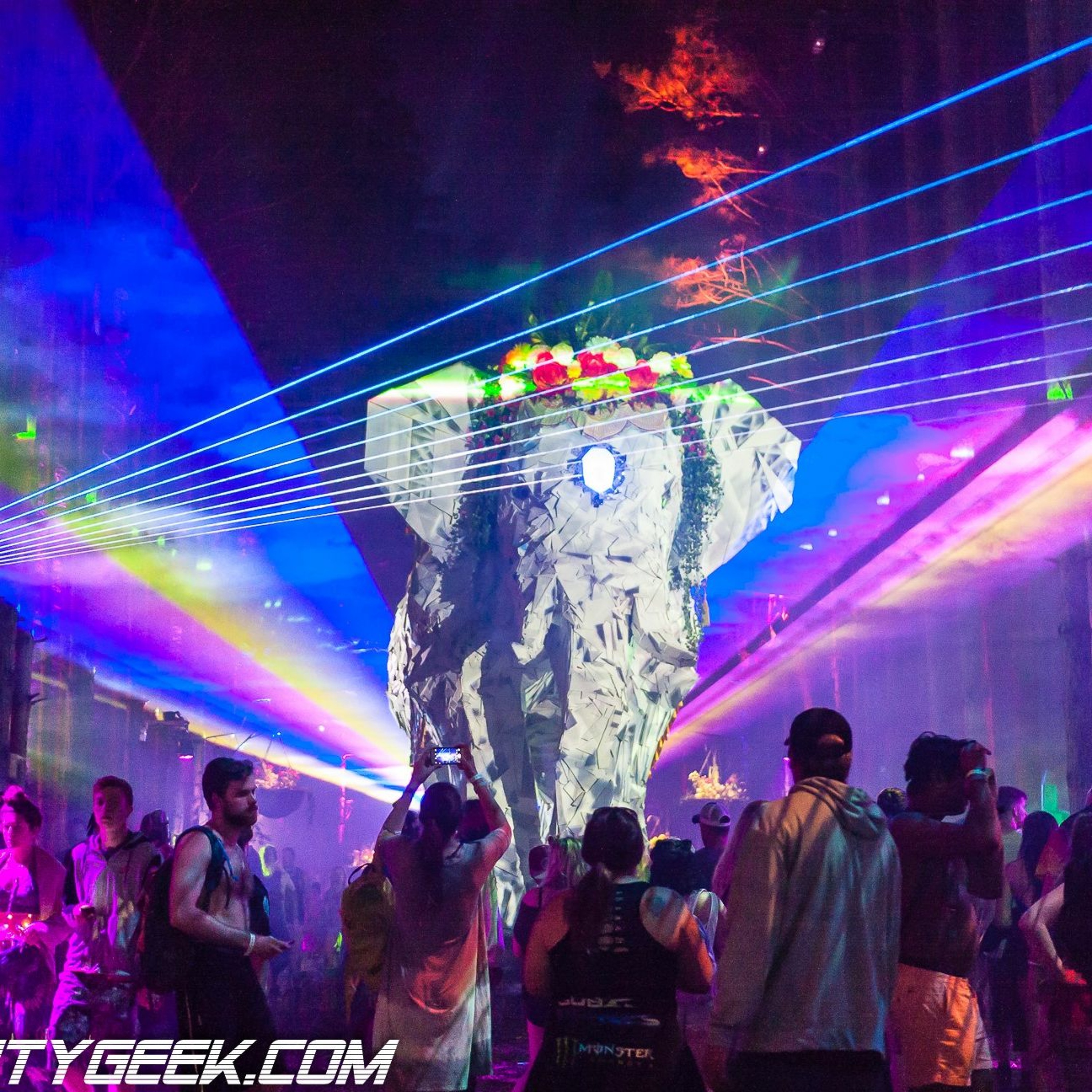 Episode #5 - The Electric Forest episode artwork