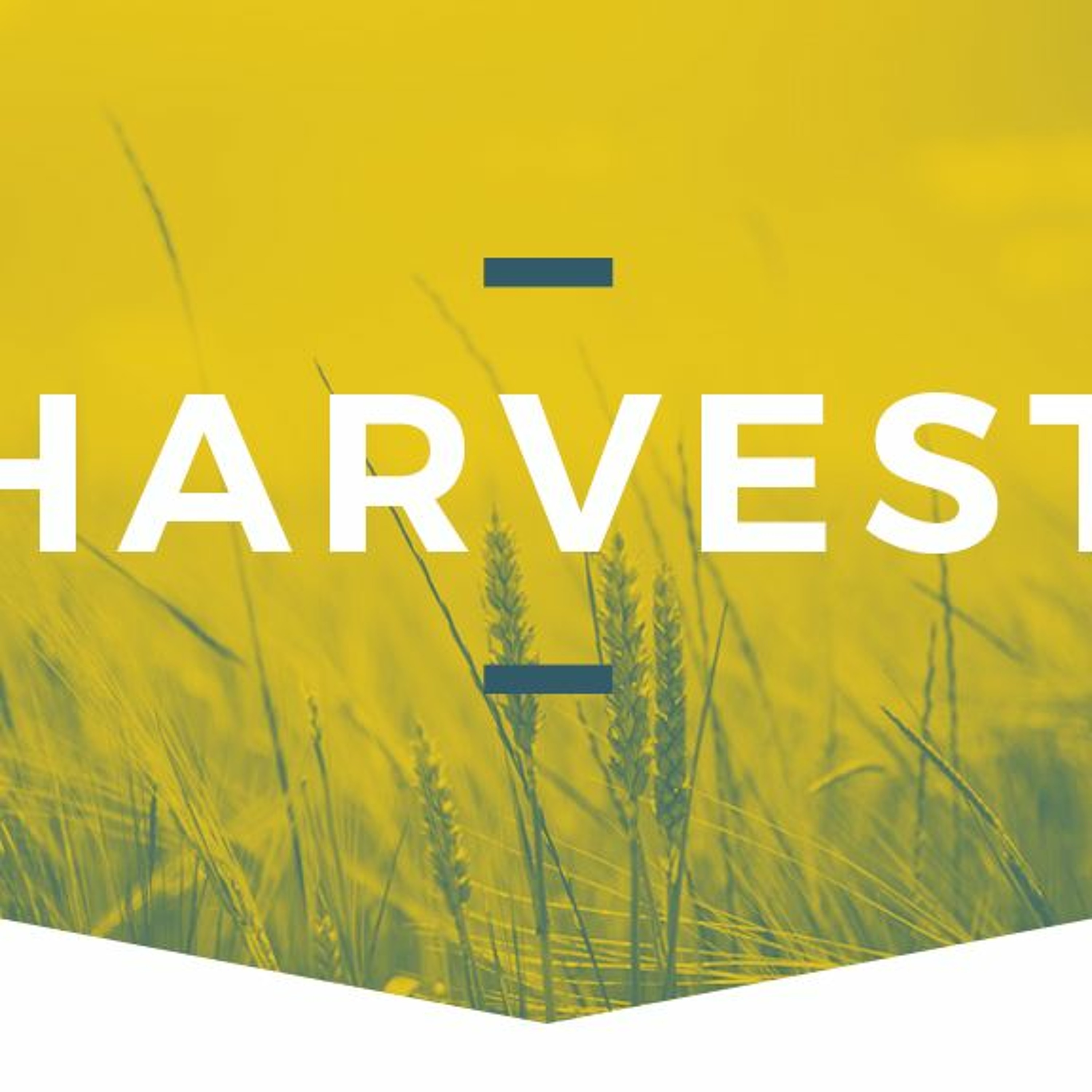 C3 Church Norwood