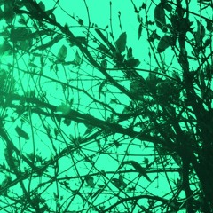 (old stuff) Silliness