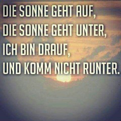 Katastrophale▪︎Frechheit