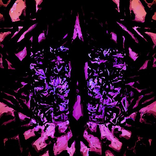 C O D E X  U L T I M A