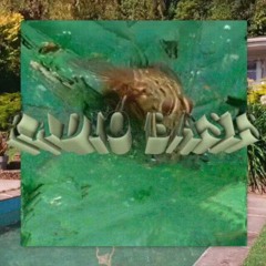 RADIO BASIS 001