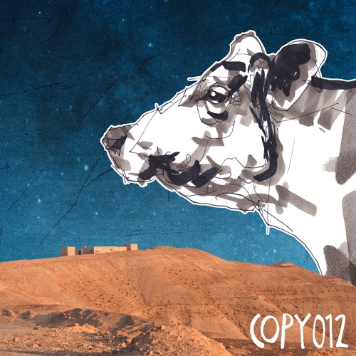 COPY012 Timboletti ~ Reaching Rujum (Dandara Remix)