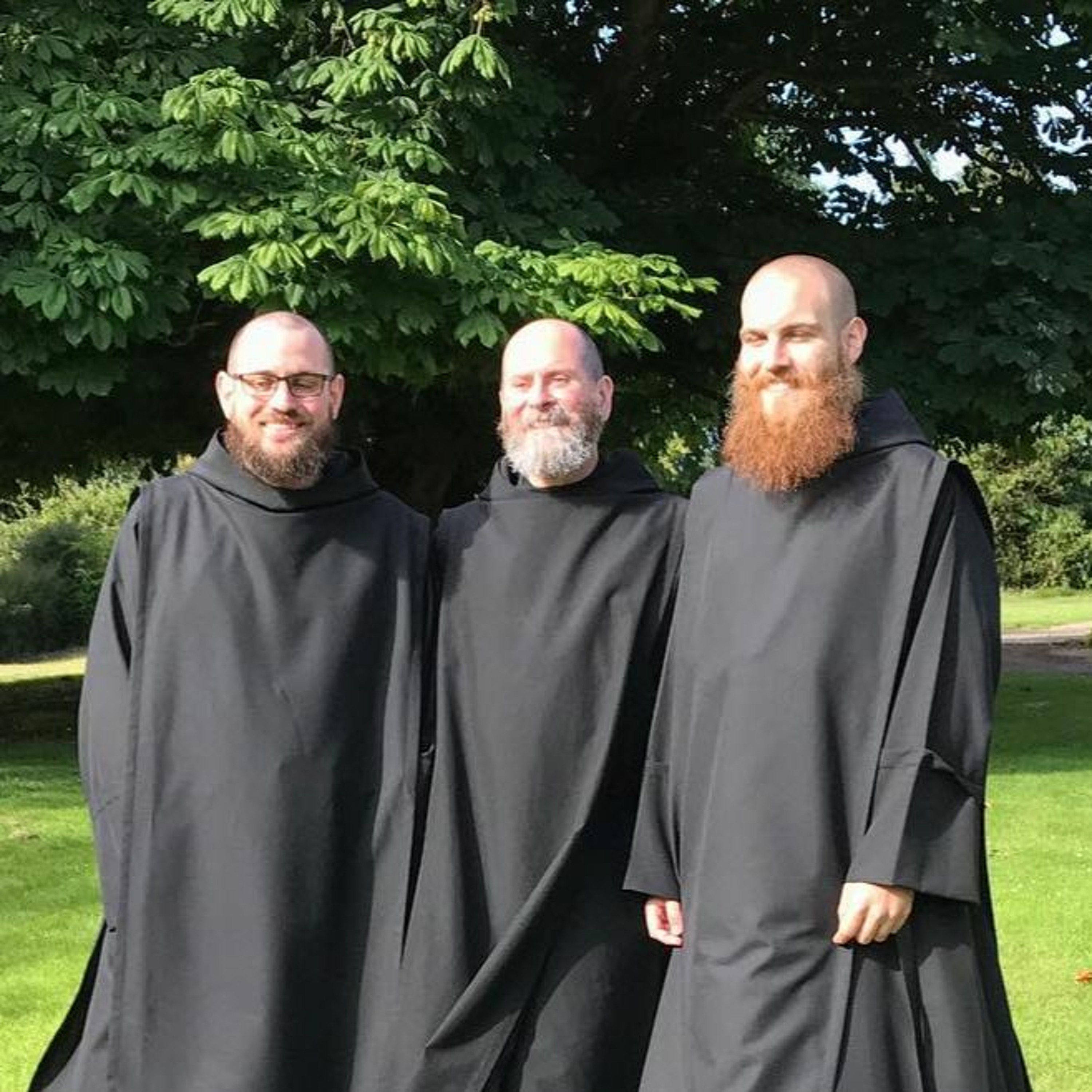 Fifth Sunday after Pentecost (2017)