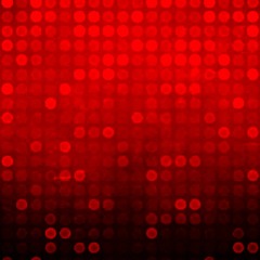 Nem pintado de nobreza, autores Sandor Buys e Aline Feitas, com Thaís Meyer