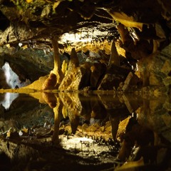 Reflection