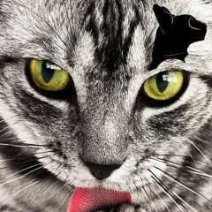 Techno Set July 2k17