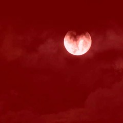 Good Night Bad Luck (Prod.nitetime)