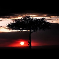 Joel Christian Goffin - Nigeria