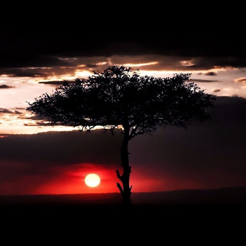 Joel Christian Goffin - Nigeria