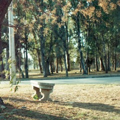 Puertas del hospicio