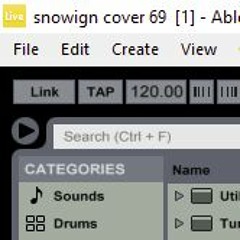 Important Thing (Snowing Cover)
