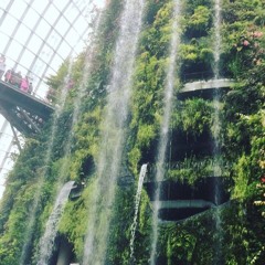 gardens by the bay