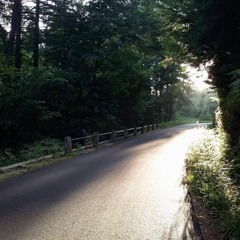 Au travers d'un chemin