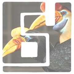 Colourful Hornbill (Malaysian/Indonesian - SE Asia & Western Fusion) [Traditional, up lifting]