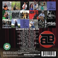 Sampler Backroom Blues Volume Five by Various Artists