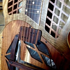 Krivo resonator pickup deals