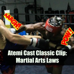 Classic Clips: Big Fat Bastard And Martial Arts Laws