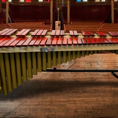 Wonderful Beautiful University Sexuality (Stetson Live)