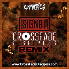 Cymatics - Signal (CFD™ Reconstruction)