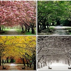 Seasons (featuring Mohawk Moet, Lance AKA Jabari & Ladie Lane)