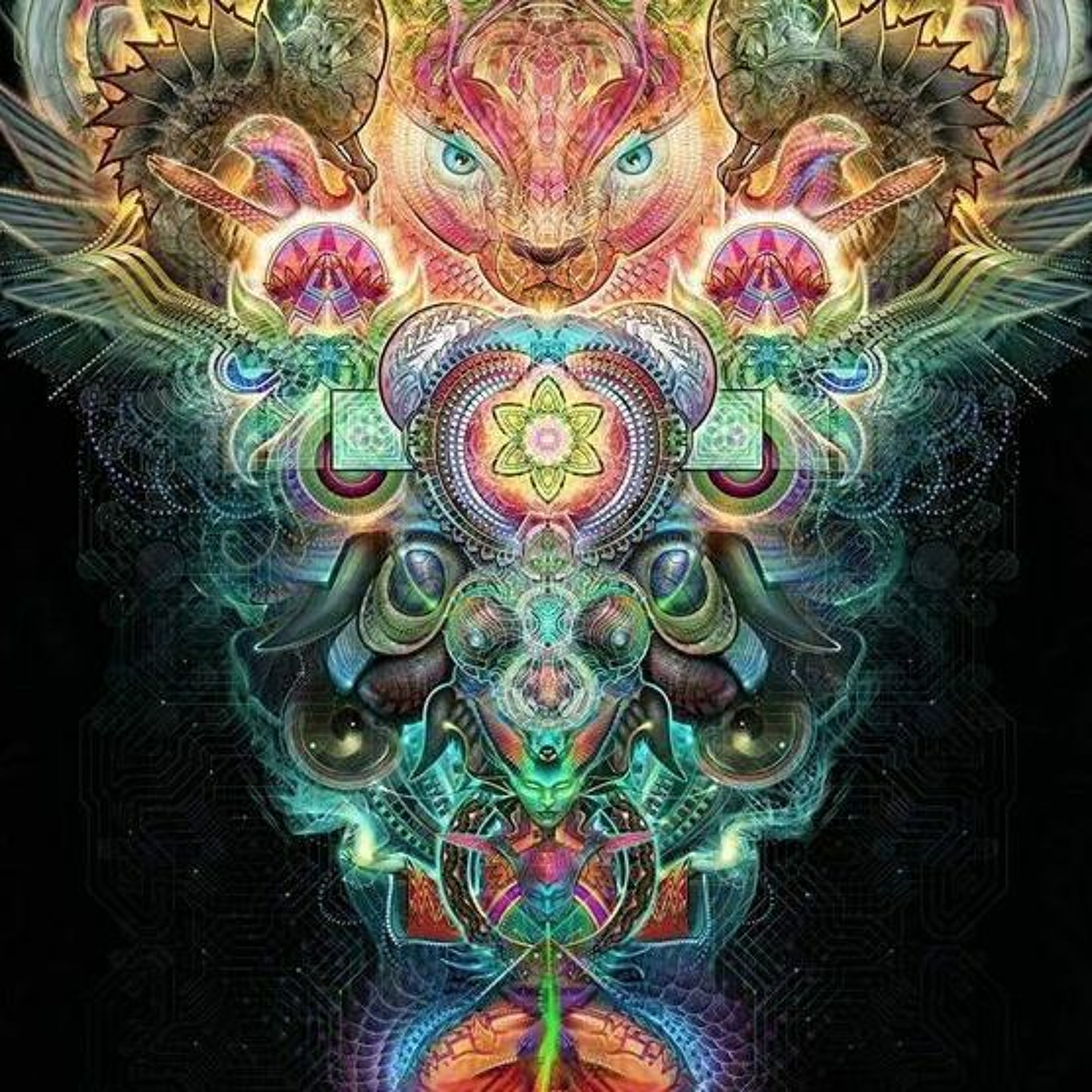 Brad Moontribe