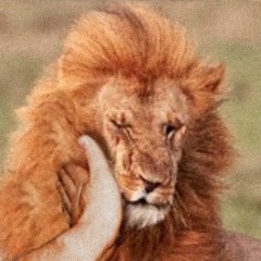 Smack My Lion Up