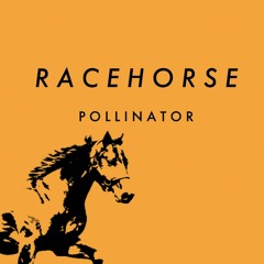 Racehorse