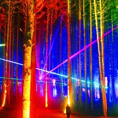 Forest Magic