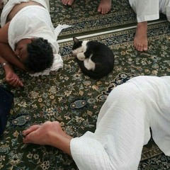مقتطفات من أروع التلاوات