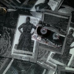 Steel Law "Hate Actions"