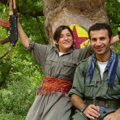 Raperin - Amed