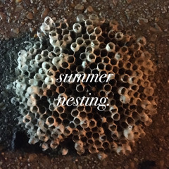 summer nesting