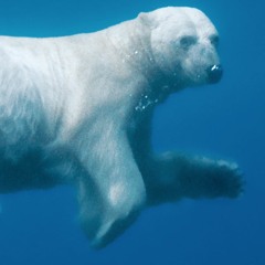 Don't know if I'll make it back home, I'm at the bottom of the sea