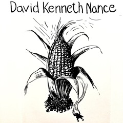 DAVID KENNETH NANCE - Amethyst (Fucked)