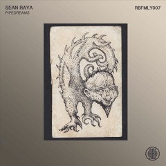 Sean Raya - RAF (Original Mix) 160Kbps