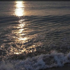 امسك دموعك يا#بن_زيد_المغربى...غالية بن على