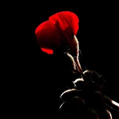 Seïnart - Closure (Original mix)