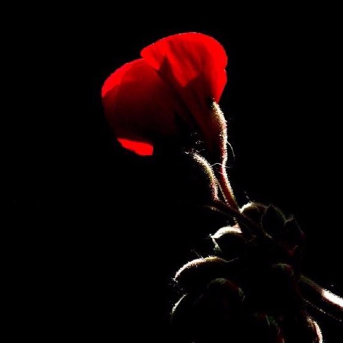 Seïnart - Closure (Original mix)