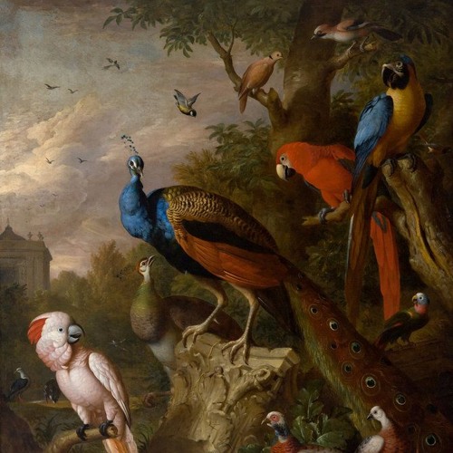 #4 ~ Wildlife Sanctuaries for Darwinistic Nominees ~ by Prince of Whales