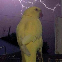 Squid Dad Presents: SummerTimeFunTime: The Mix